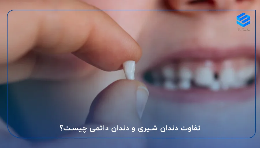 تفاوت دندان شیری و دندان دائمی چیست؟